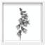 Ossified Petals II Shadowbox Floral & Botanical Print by Oliver Gal, Black Frame, 12 x 12-1721182069-1721182025