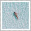 See From The Sky Giclee Print