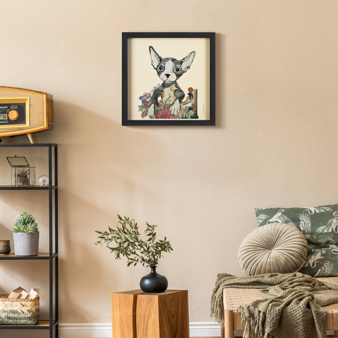 " Sphynx " by Alex Zeng Latitude Run®