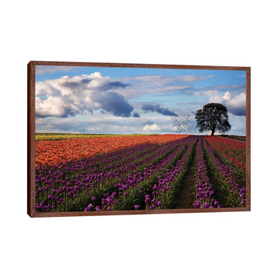 Tulip Festival - Print on Canvas