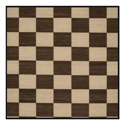 Machine Washable Checkered Brown Area Rug