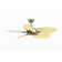 Windpointe 52'' Ceiling Fan