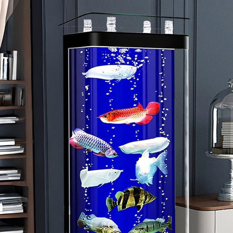 Aquarium moderne en verre acrylique 20 à 20 gallons Eco, Noir, 15.75