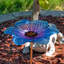 Bol pour bain d'oiseaux en verre Bayview