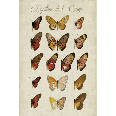 Papillons De L'europe III 1 Piece Wrapped Canvas Wall Art