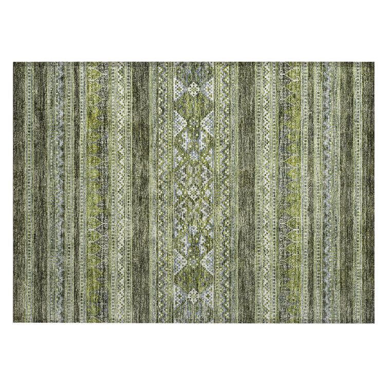 Myiakya Washable Southwestern Indoor / Outdoor Rug