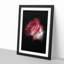 Pink Rose in Abstract - Picture Frame Painting Print-55583983-55583987