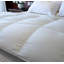 Couette en duvet 400TC Canadian Light 650-26157302