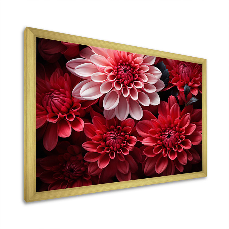 " Mums Enchanting Mums Black ", H 34 po x l 44 po x P 1,5 po, Cadre doré à une seule photo