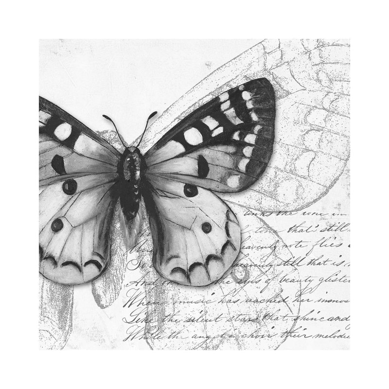 Butterfly Studies I by Patricia Pinto - Gallery-Wrapped Canvas Giclée on Canvas, No Frame, 30.48 cm H x 30.48 cm W