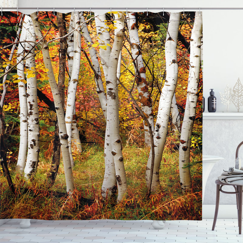 East Urban Home Fall Shower Curtain White Birch Trees Serenity Multicolor, 70"H x 69"W