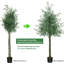 Olive artificielle en pot-1279566332-1279566333