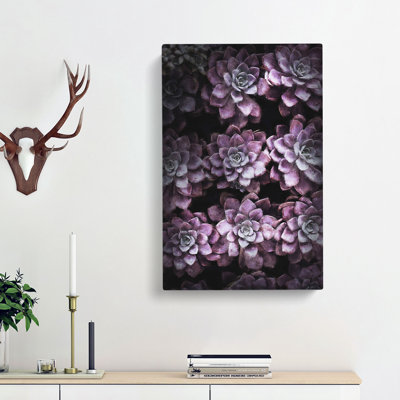Pretty Purple Succulent Plants - Wrapped Canvas
