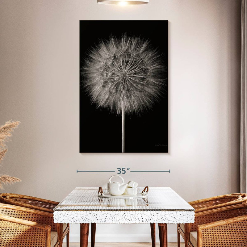 Dandelion Fluff On Black