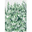 Tapis 100% polyester de qualité supérieure, imprimé en 3D, 4 po x 6 pi, hauteur de poils de 0,04 po | Antibactérien, points antidérapants en PVC, lavable à la machine | Idéal pour le salon, la chambre à coucher et la salle de jeux, design élégant et durable-767808809