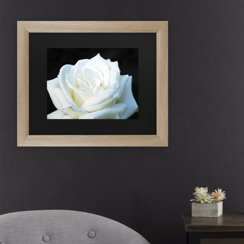 « white rose ii », reproduction d’impression sur toile encadrée, Noir, H 16 po x l 20 po x P 0,5 po
