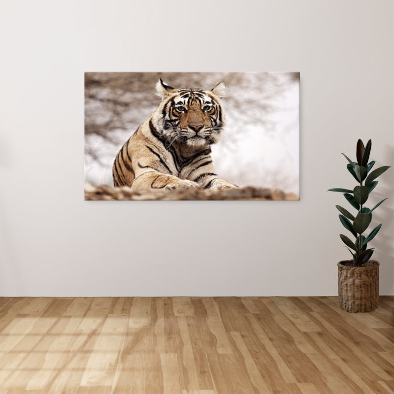 "Tigre royal du Bengale" par Danita Delimont, reproduction sur toile, H 18 po x l 30 po x P 1 po