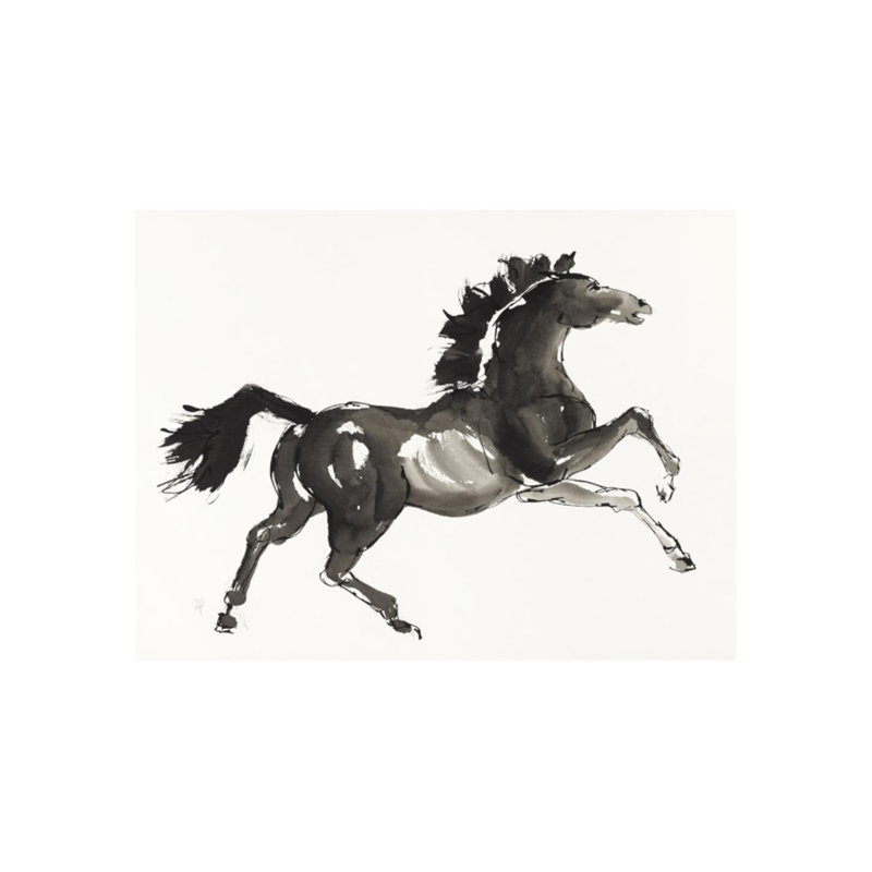 Horse H5 Print by Chris Paschke, Glass Coat, 24" H x 32" W x 1.5" D