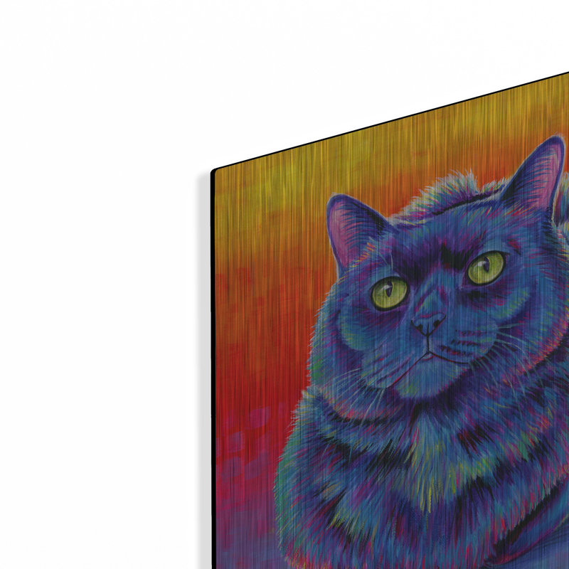 Luxe métal Art «Fiery Rainbow Black Cat» par Rebecca «Fiery Rainbow Black Cat» par Rebecca Wang Art, H 12 po x l 12 po
