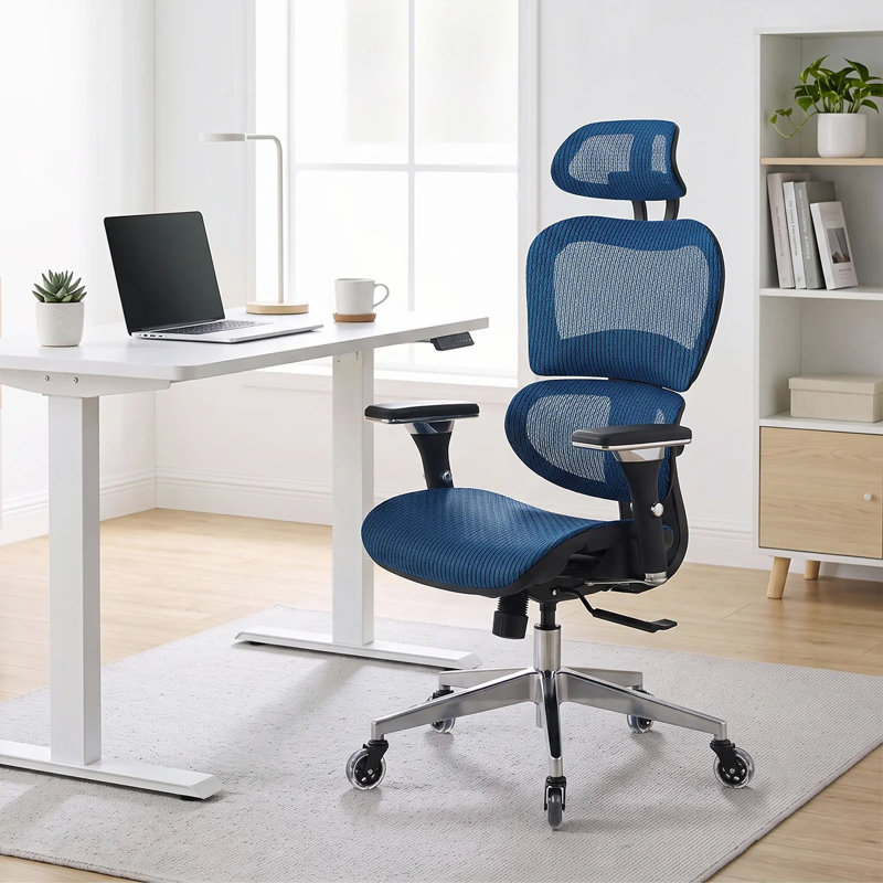 Chaise de bureau ergonomique Nouhaus Ergo3D, Bleu