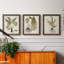 Fern Botanical IV - Ensemble de 3 peintures sur toile encadrées-1362442883-1362442892