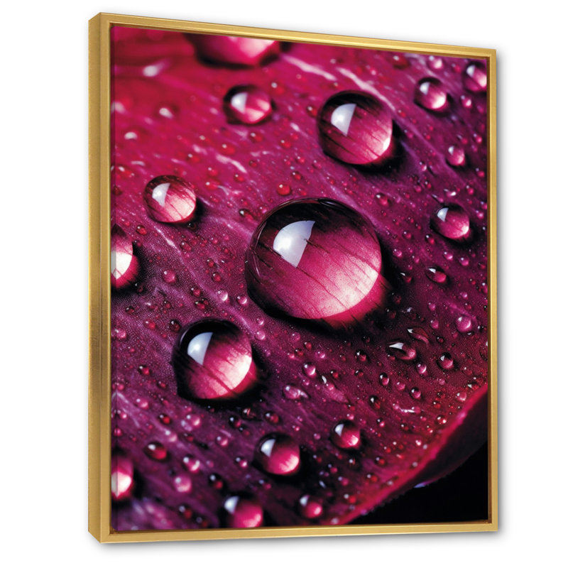 Rose rouge avec des gouttes de pluie, Cadre flottant doré, H 40 po x l 30 po x P 1,5 po