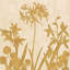 « i », impression sur toile Reflections-20908196-73087584-73087598