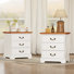 Nightstand With Charging Stand & 3 Drawers(Set Of 2)