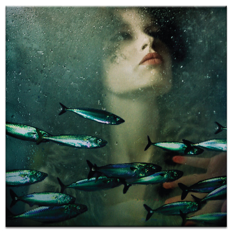 Wrapped Canvas Print, 76cm H x 76cm W