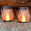Renard flamme