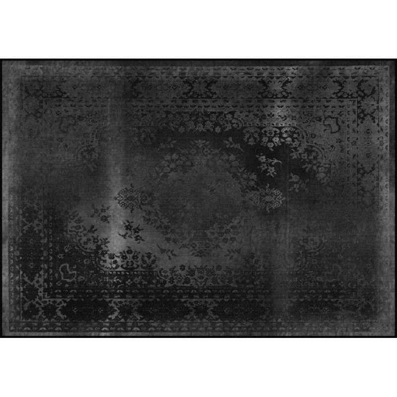 Shoreham 200cm X 284.2cm Area Rug