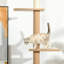Cat Tree / Condo-1359486004