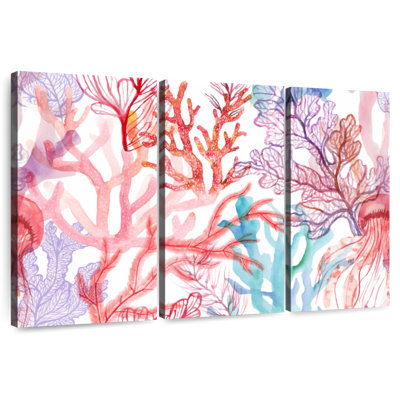 Corail Brampt