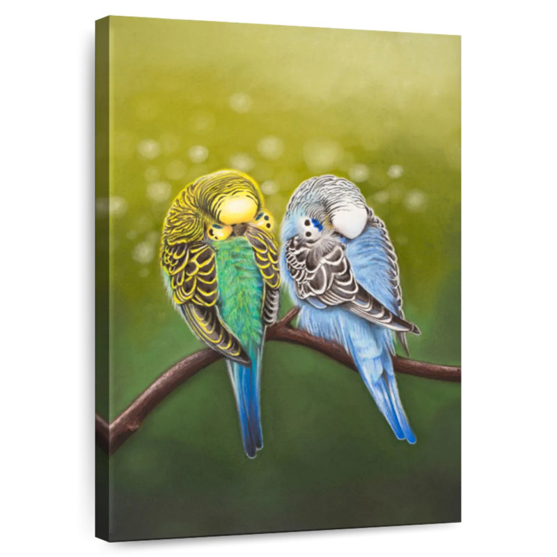 Budgie Siesta, 24" H x 16" W