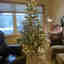 Customer photo 4 of 4