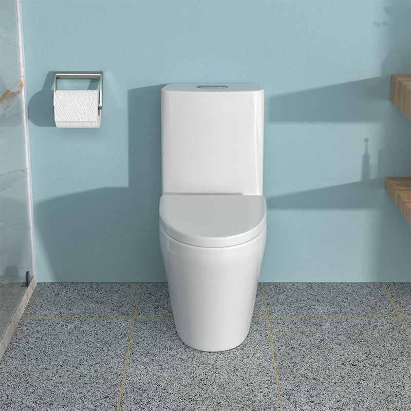 Toilette monobloc en céramique pour salle de bain - siège brut de 12 po, double chasse (1,24 / 1,6 GPF), siège à fermeture en douceur