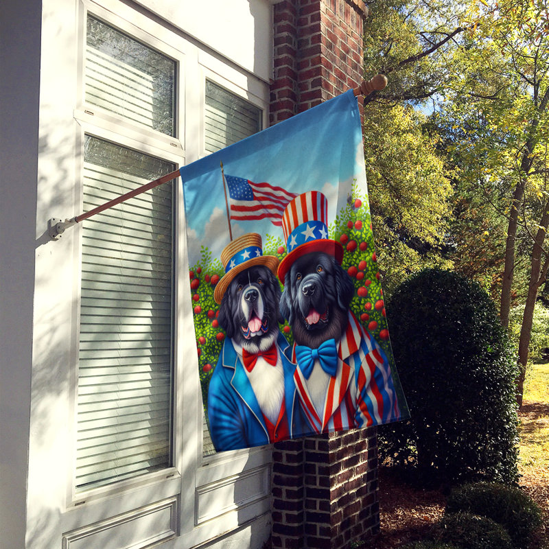 Drapeau «All American House», Terre-neuve