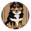  Tapis lavable Entlebucher Mountain Dog Dogs-2142506662