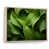 Cadre flottant naturel