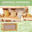 Nkao 42cm W Bamboo / Rattan Shelving Unit