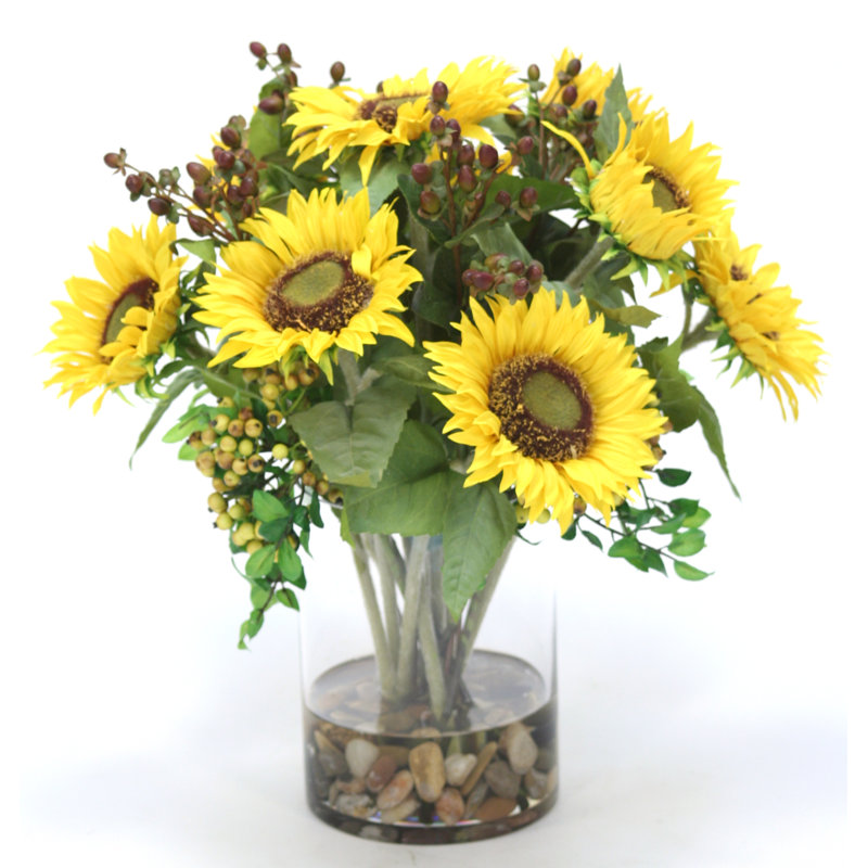 Tournesol et baies en verre transparent