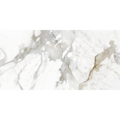 19.3" x 38.6" Porcelain Singular Tile