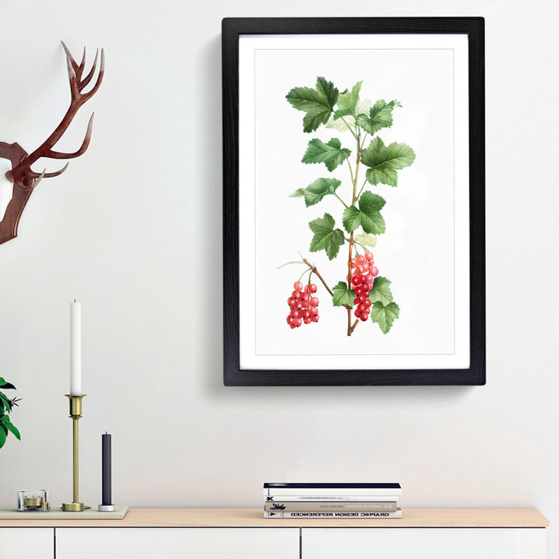 Redcurrant Flowers by Pierre-Joseph Redoute - Picture Frame Painting Print, 65cm H x 48cm W x 2cm D, Black Framed