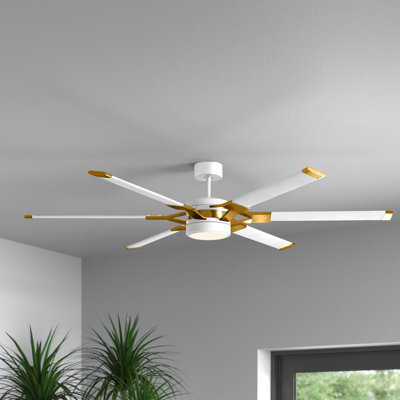 Ceiling Fan with LED Lights