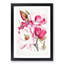 Himalayan Magnolia Flowers by W. H. Fitch - Picture Frame Painting Print-55580267-55580262