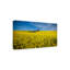 «The Canola Field», impression sur toile tendue-567302110