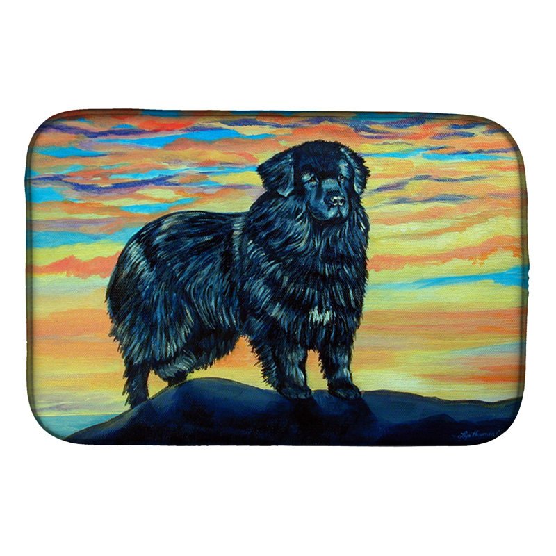 Drying Mat