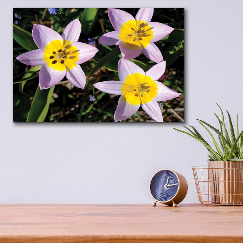 «Flowers Iii», art mural en verre acrylique, H 12 po x l 16 po x P 0,13 po
