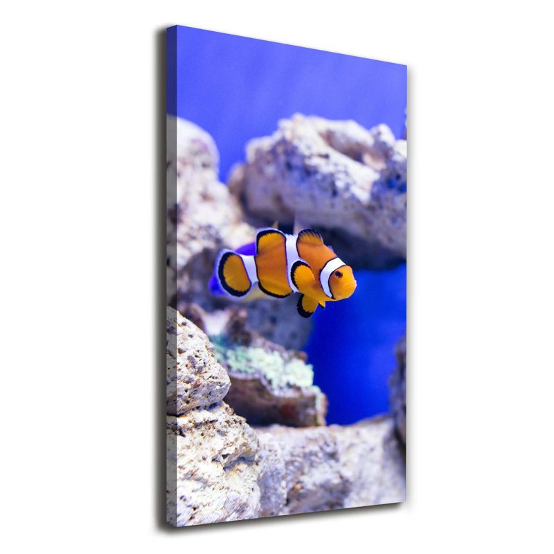 Nemo Fish - Wrapped Canvas Print