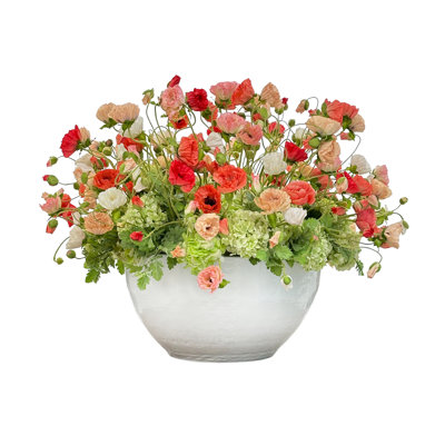 Mixed Poppies In White Pot